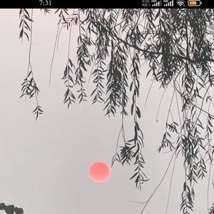 陕西产地实况 头像