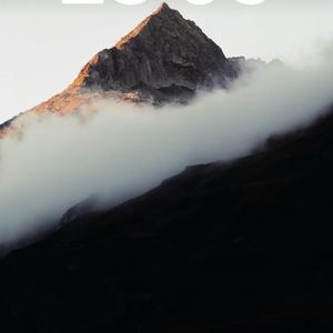 洋洋观世界 头像