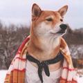 每日一读心灵鸡汤 头像