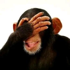 FFF呜呜呜呜呜呜 头像