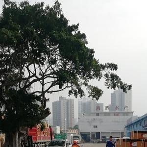 吹泡泡来咯