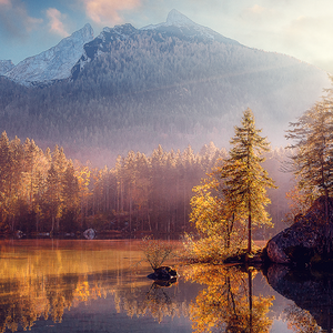 过滤器专研者 头像