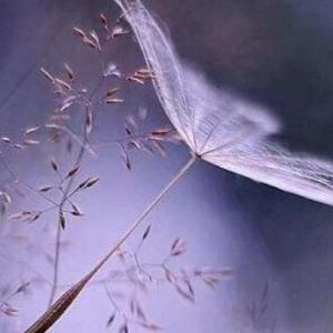 月亮儿弯弯 头像