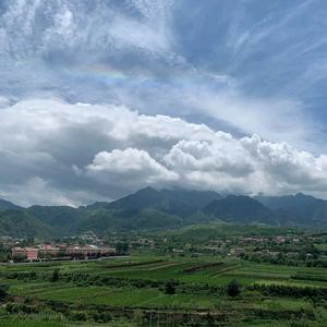 娱乐一大咖 头像