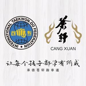 承德苍轩跆拳道 头像