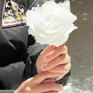 钱从四面八方来O_o 头像