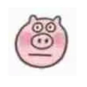 疯狂的杨大侠 头像