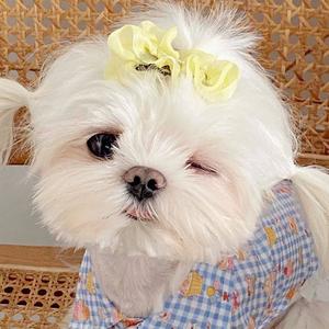 看破不说破 头像