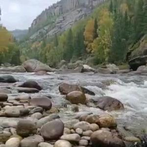 完美经典五花肉 头像