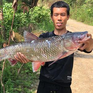 野钓亚斌头像