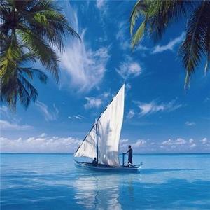 桃子的爸妈 头像