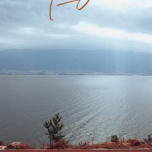 知识的学堂 头像