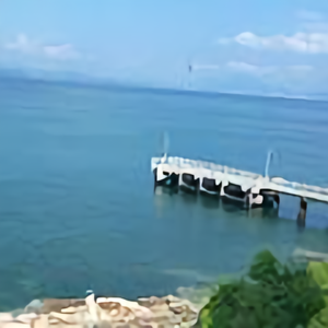 李家慧说排球