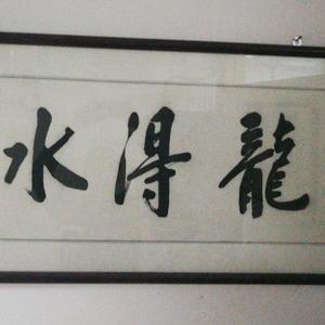 龙行天下龙得水 头像