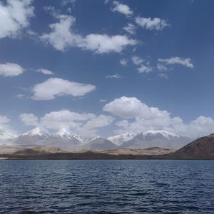 保定志愿填报 头像