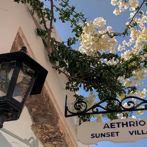 读法醋酸菌 头像