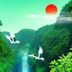梅花乃是神的使者