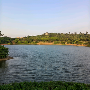 黑猫的厨房 头像