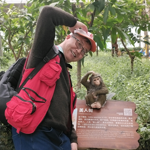 自在的树良 头像