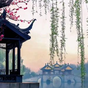 森林之中喂松鼠者 头像