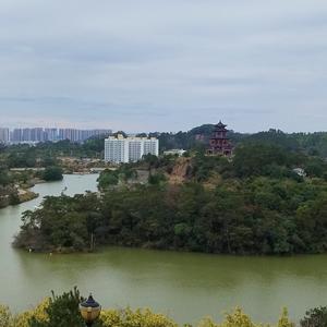 萍萍打工记vlog 头像