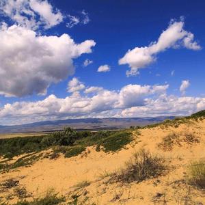 牡丹花玲珑 头像