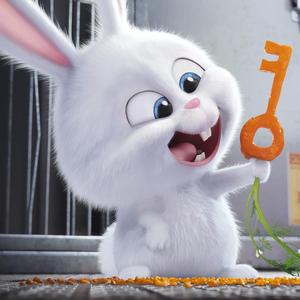 椰子没有椰汁 头像