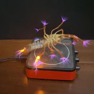 盗号者无耻之极 头像