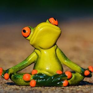 香香趣味社 头像