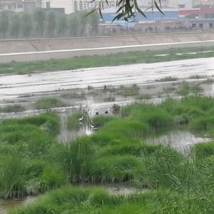 山清水秀一过客 头像