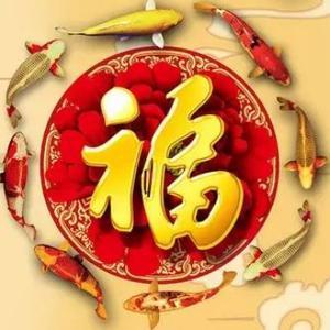 清风轻舞667