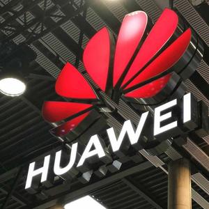 菊厂基地打工的 头像