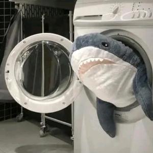 我的mini生活 头像