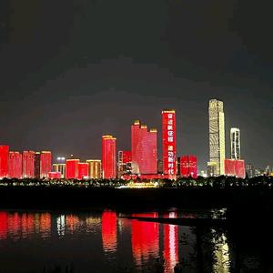 洞庭湖小麻雀 头像