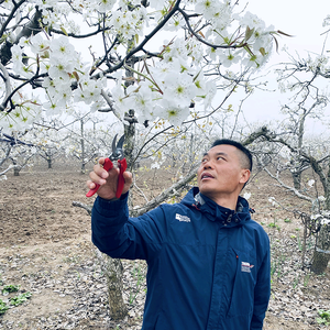 全中唐老师头像