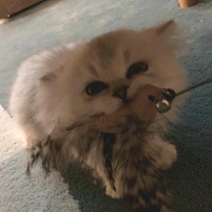 三分钟离谱趣谈 头像