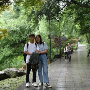 木子杨的投资笔记