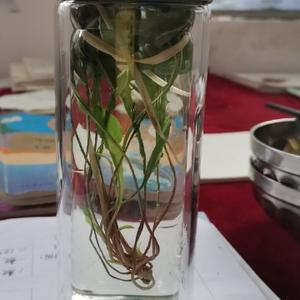 二货的快乐 头像