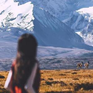 可靠葡萄BL 头像