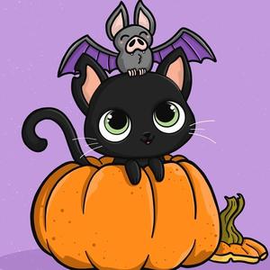 艾泽拉斯小黑猫 头像