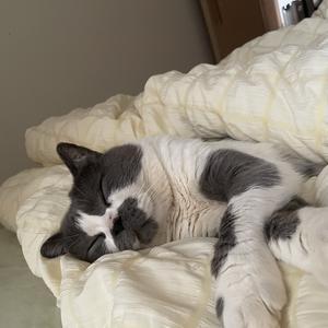 爱八卦的沙果 头像