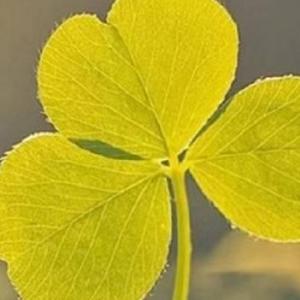 用户7789560614970 头像