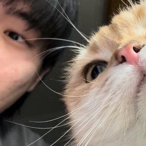 会唱跳Rap篮球的朴泽宇 头像