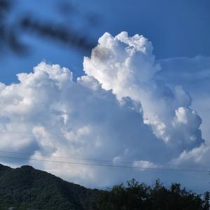 秋天的落叶 头像