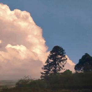 浅笑安然HXZ 头像