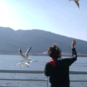 贴膜轻改专家｜东莞十拇指 头像