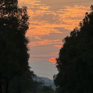 分享欲超强的 头像