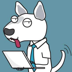 程序汪布丁 头像