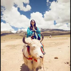 骑着牦牛去拉萨 头像