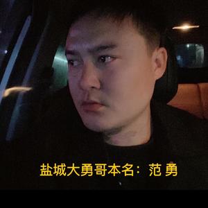 大勇哥有话说 头像